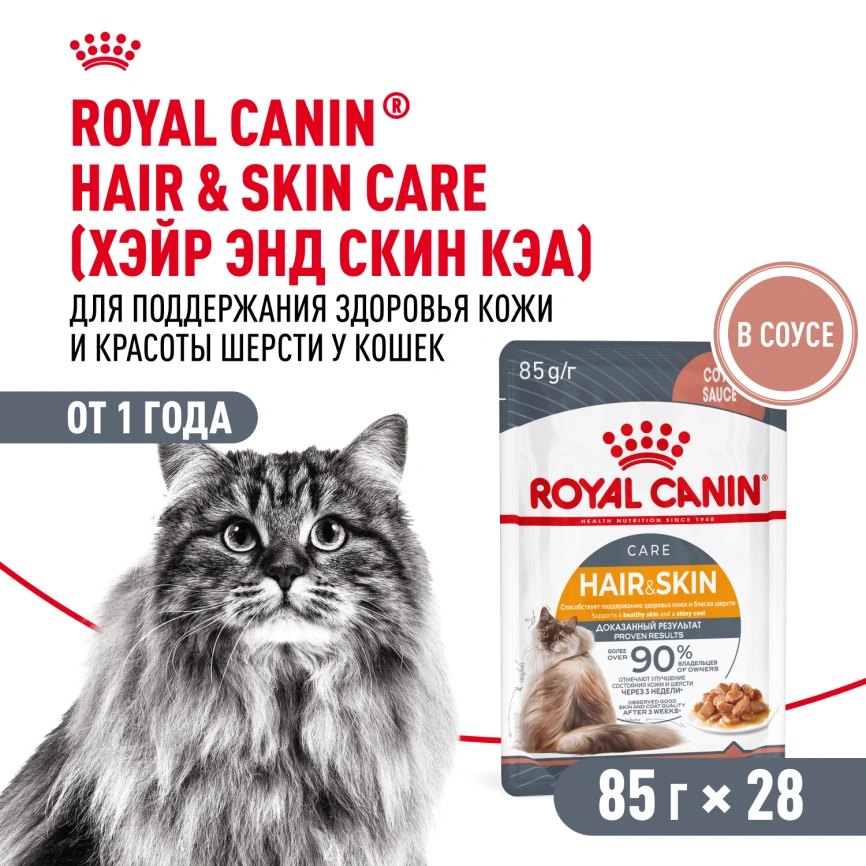 Влажный корм Royal Canin Hair &amp; Skin Care в соусе для взрослых кошек старше 1 года, пауч, 85 г фото 13