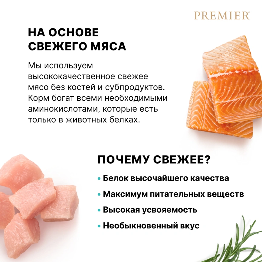 Сухой корм Premier Dog Salmon & Turkey Adult Mini для собак мелких пород, 1 кг фото 6