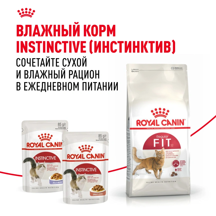 Сухой корм Royal Canin Fit для кошек, 4 кг фото 8