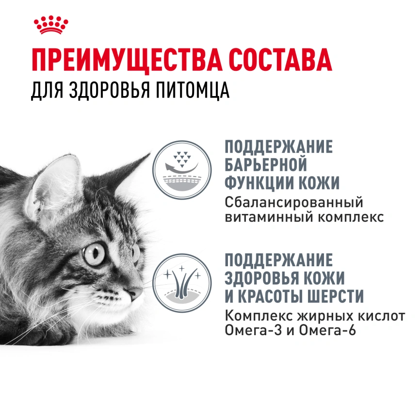 Сухой корм Royal Canin Hair & Skin Care для кошек, 400 г фото 3