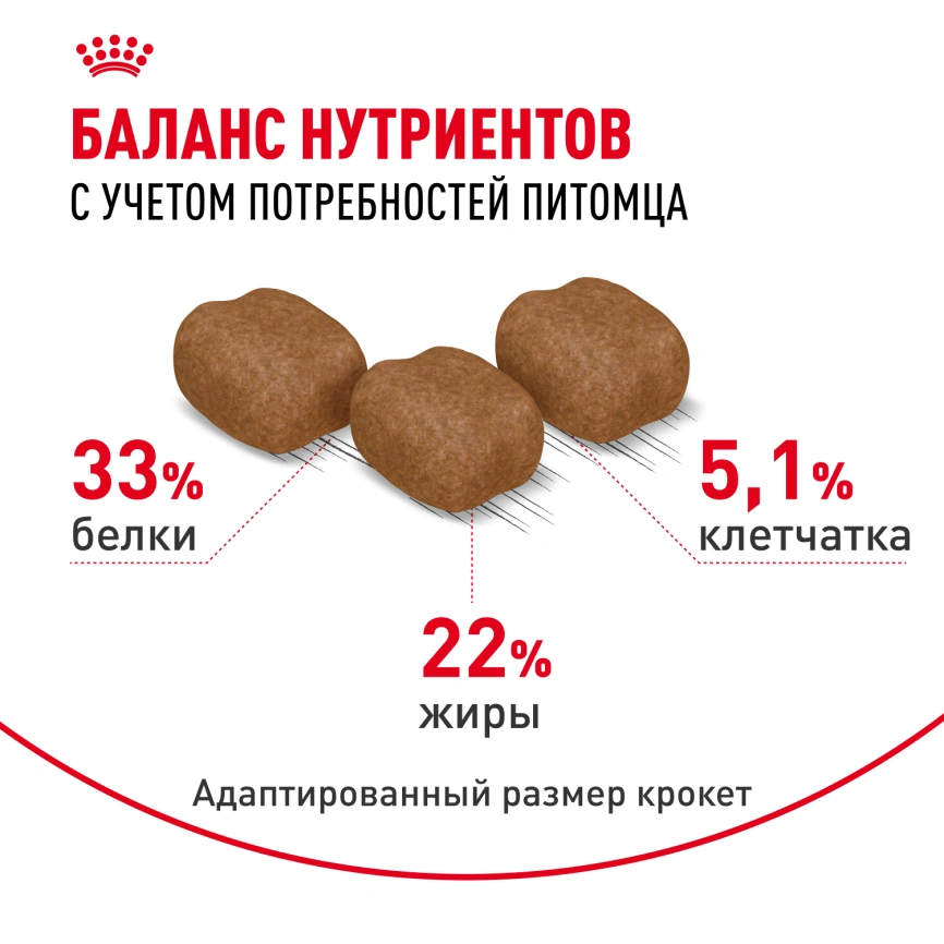 Сухой корм Royal Canin Hair &amp;amp; Skin Care для кошек, 400 г фото 5
