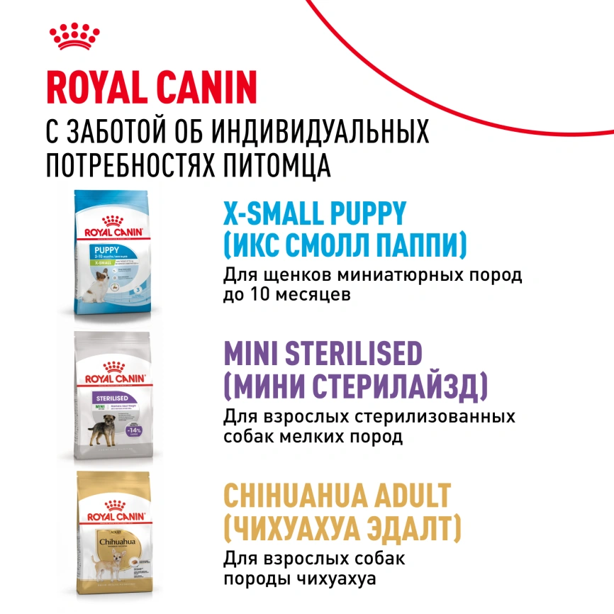 Сухой корм Royal Canin X-Small Adult для собак, 500 г фото 9