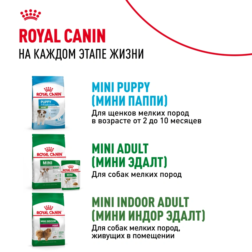 Сухой корм Royal Canin Mini Starter Mother &  Babydog для щенков и кормящих сук, 8,5 кг фото 9
