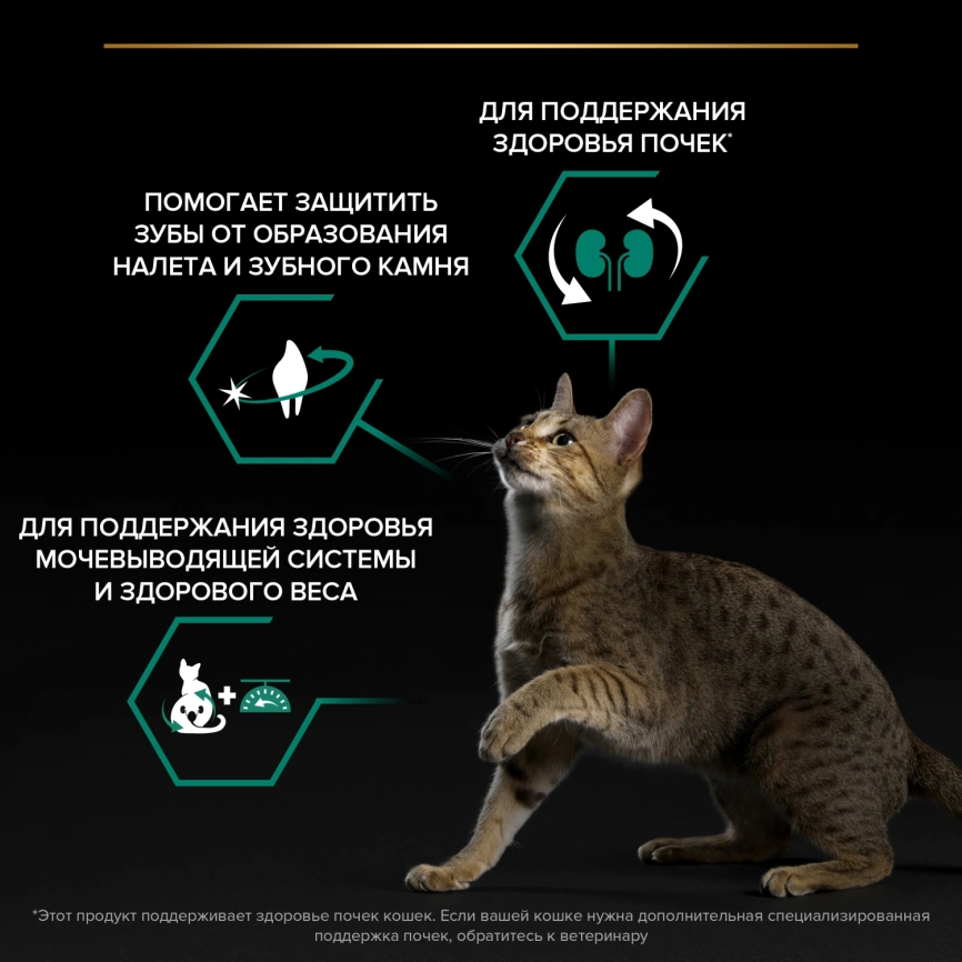 Сухой корм Purina Pro Plan Adult Sterilised Rabbit OptIi-Renal для стерилизованных кошек, с кроликом, 10 кг фото 2