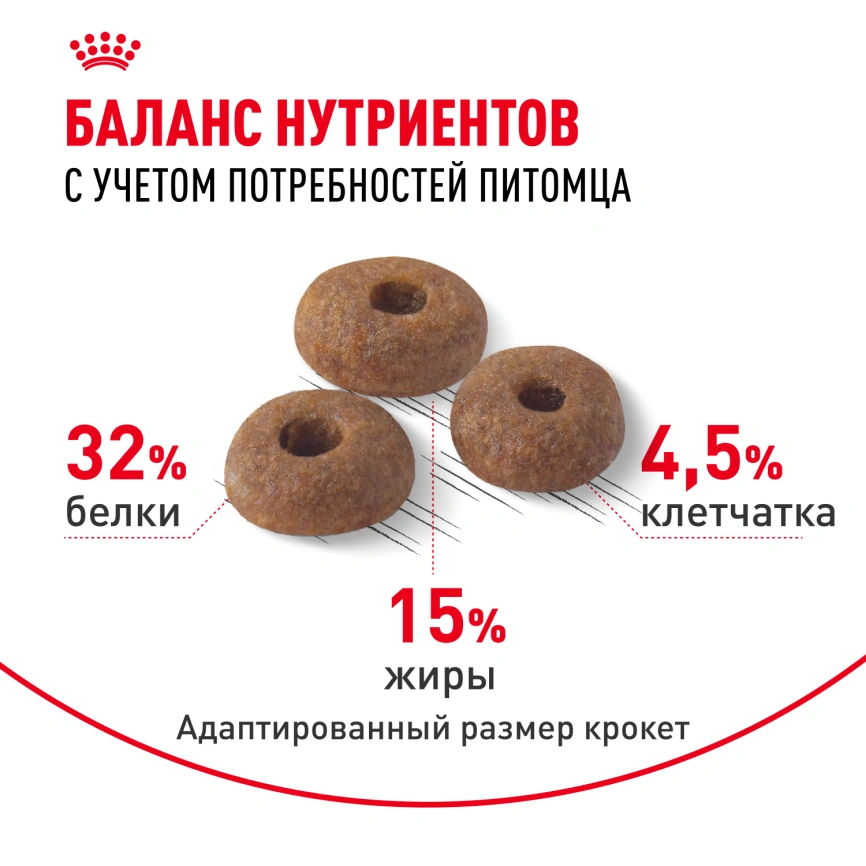 Сухой корм Royal Canin Fit для кошек, 2 кг фото 4