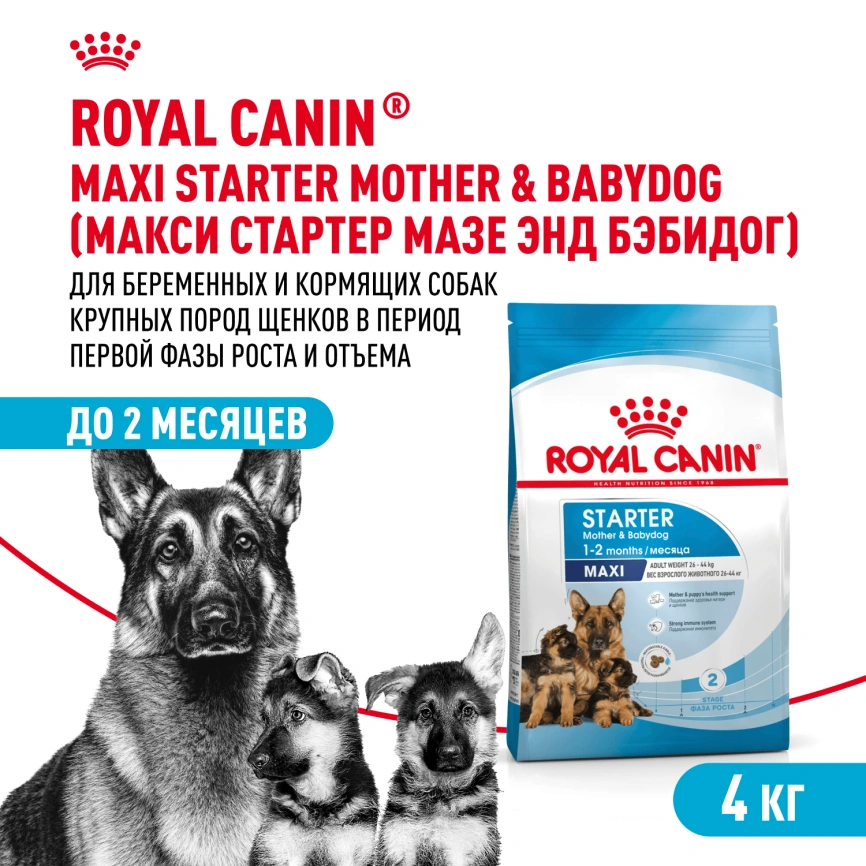 Сухой корм Royal Canin Maxi Starter Mother & Babydog для собак, 4 кг фото 12
