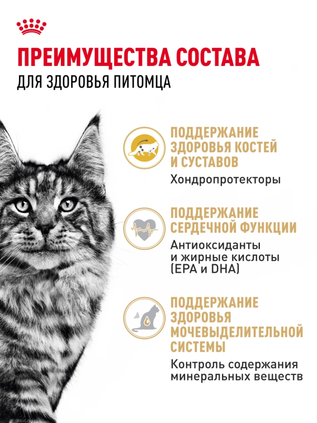 Сухой корм Royal Canin Maine Coon для кошек, 400 г фото 24