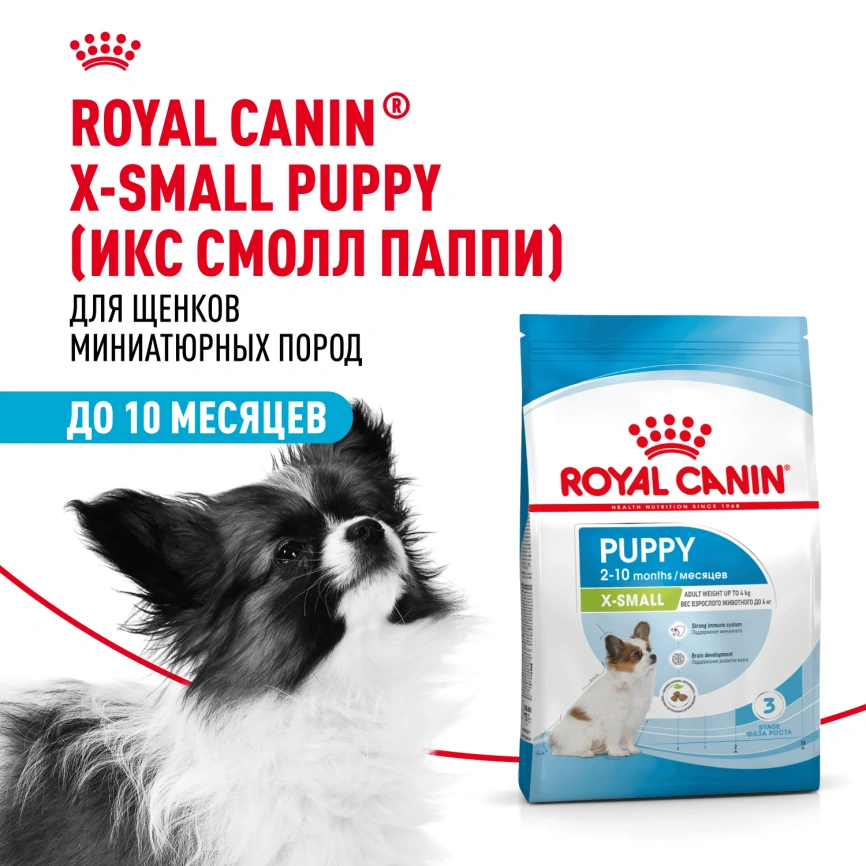 Сухой корм Royal Canin X-Small Puppy для щенков, 3 кг фото 16