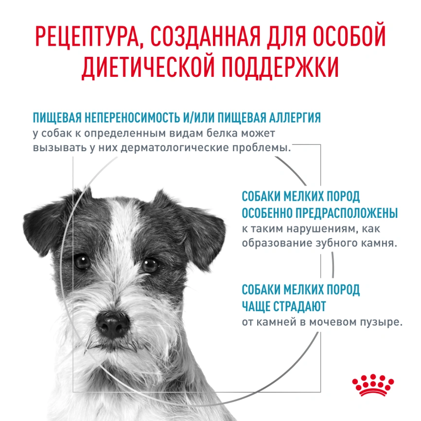Сухой корм Royal Canin Hypoallergenic Small Dogs для собак, 3.5 кг фото 4