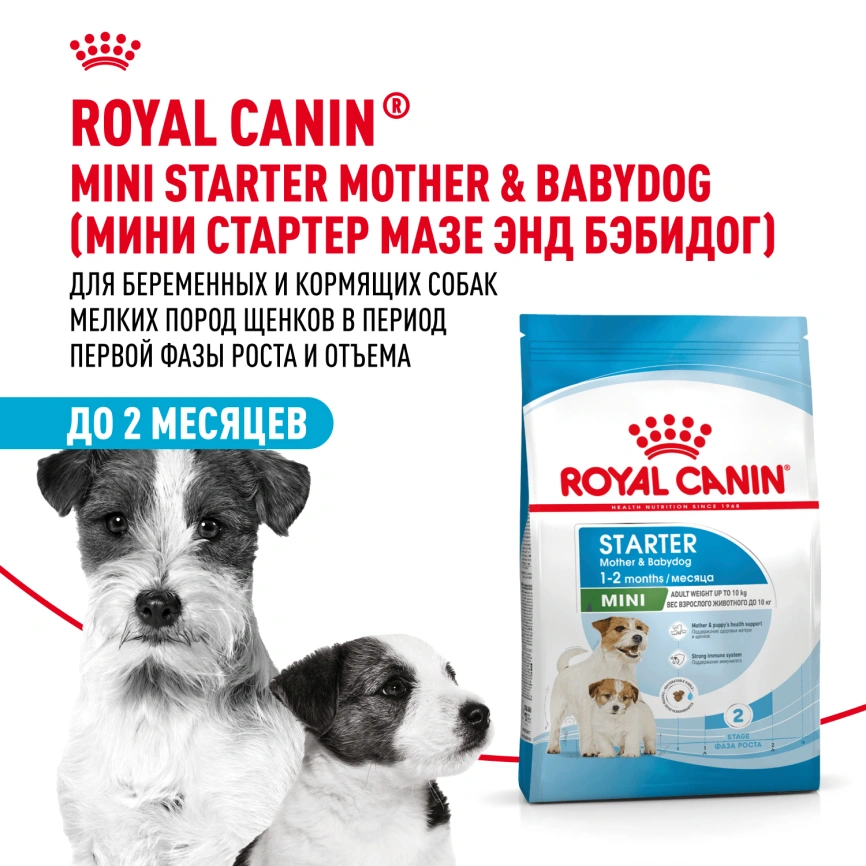Сухой корм Royal Canin Mini Starter Mother & Babydog для щенков и кормящих сук, 8.5 кг фото 12