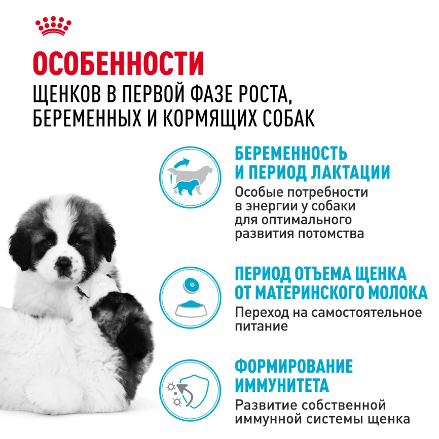 Сухой корм Royal Canin Giant Starter Mother & Babydog для щенков и собак, 15 кг фото 2