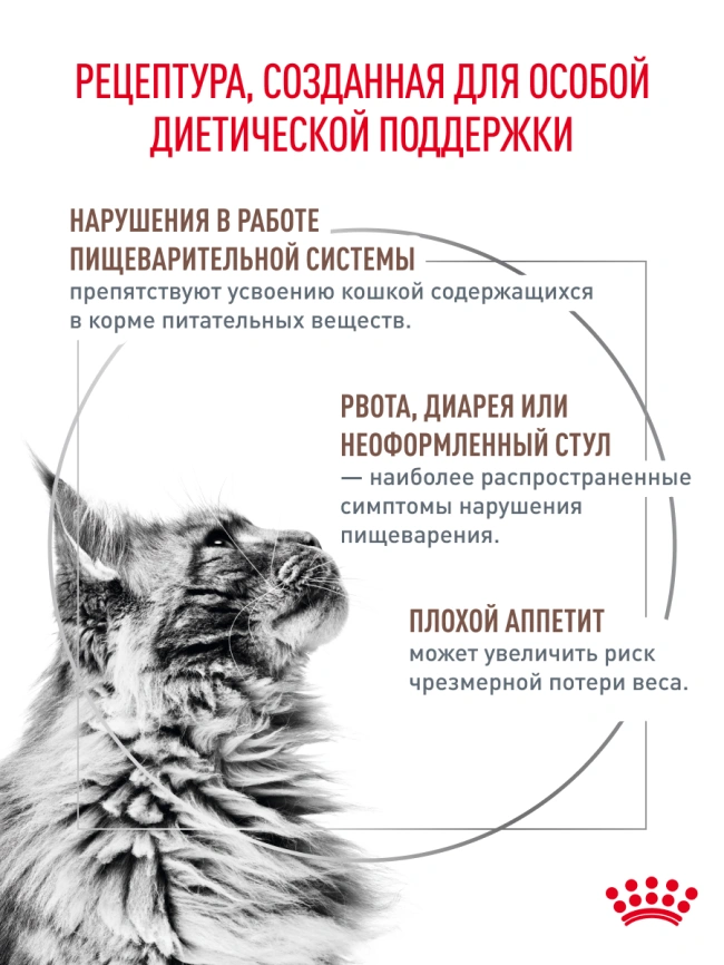 Сухой корм Royal Canin Gastrointestinal для кошек, 350 г фото 22