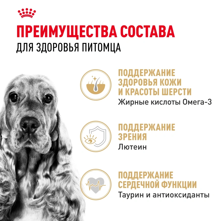 Сухой корм Royal Canin Cocker Adult для собак породы кокер-спаниель, 3 кг фото 2