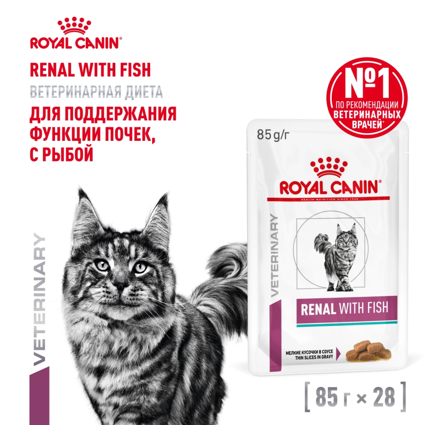 Влажный корм Royal Canin Renal with Fish в соусе для кошек при заболеваниях почек, с рыбой, пауч, 85 г фото 11