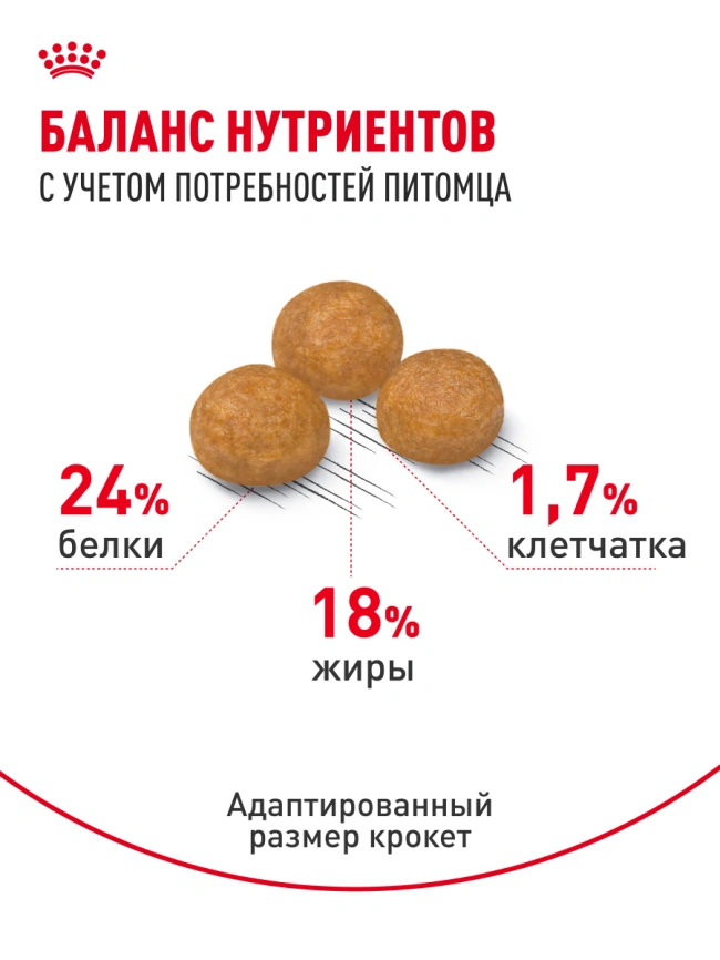 Сухой корм Royal Canin X-Small Adult для собак, 1.5 кг фото 16