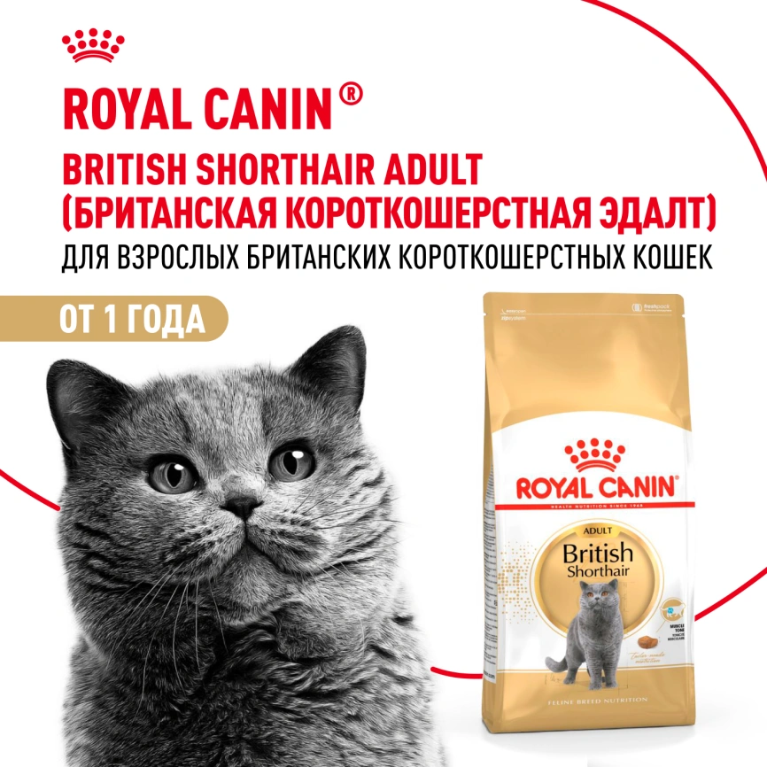 Сухой корм Royal Canin British Shorthair для кошек породы британская короткошерстная, 10 кг фото 14