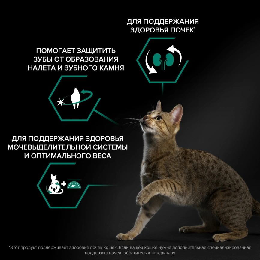 Сухой корм Purina Pro Plan Cat Adult Sterilised для стерилизованных кошек, с индейкой, 10 кг фото 2