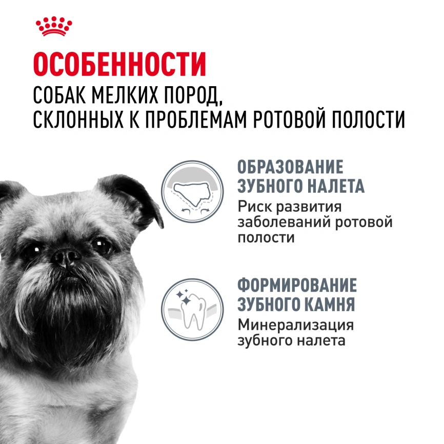 Сухой корм Royal Canin Mini Dental Care для собак, 3 кг фото 2