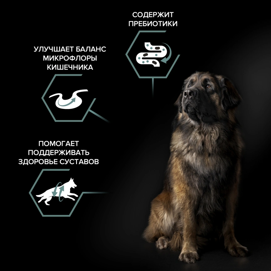 Сухой корм Purina Pro Plan Large Robust Adult для крупных собак (мощное сложение), с ягненком, 18 кг фото 2