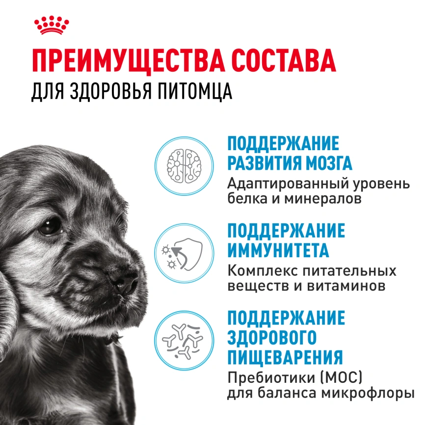 Сухой корм Royal Canin Mini Puppy для щенков, 4 кг фото 3