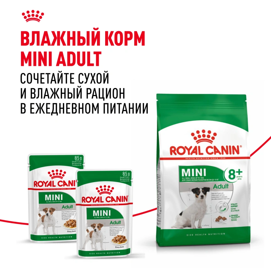 Сухой корм Royal Canin Mini Adult 8+ для пожилых собак, 4 кг фото 6