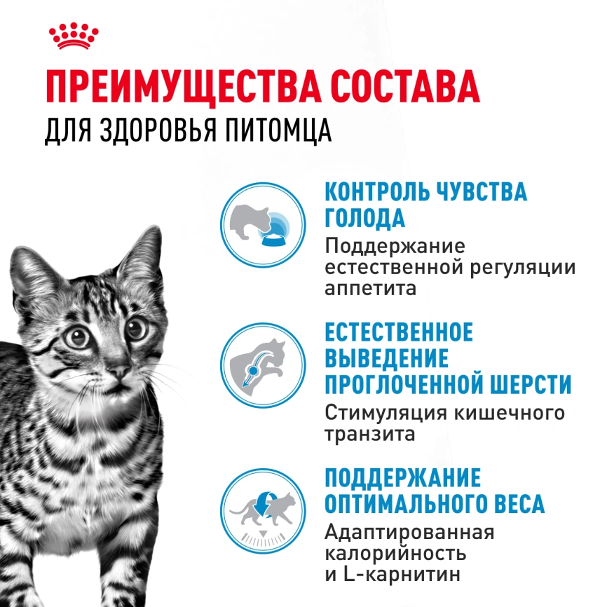 Сухой корм Royal Canin Indoor Appetite Control для кошек, 400 г фото 3