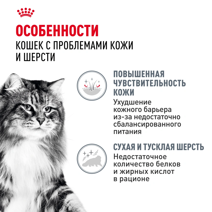 Влажный корм Royal Canin Hair & Skin Care в желе для взрослых кошек старше 1 года, пауч, 85 г фото 2