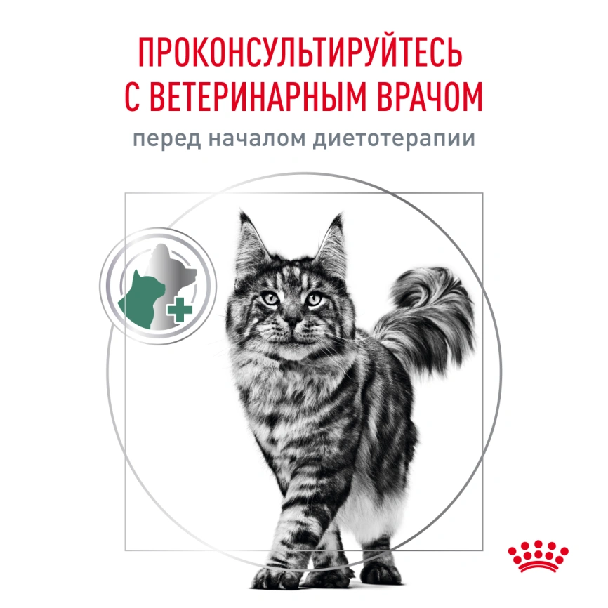 Сухой корм Royal Canin Satiety Weight Management для кошек для снижение веса, 3.5 кг фото 8