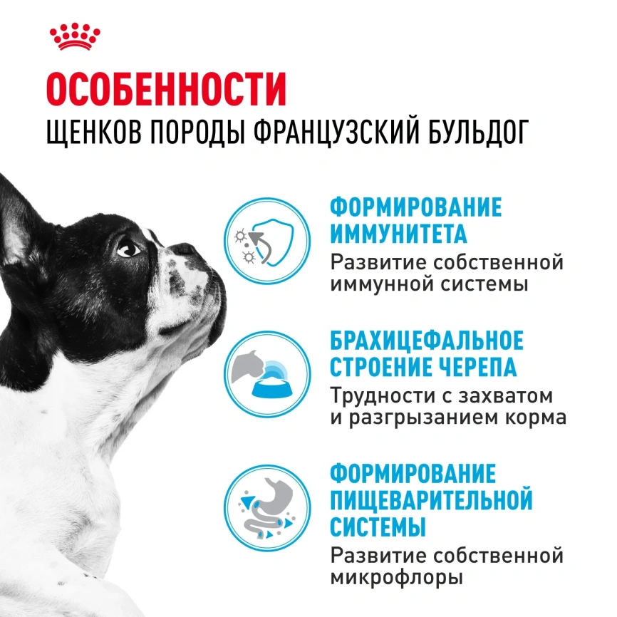 Сухой корм Royal Canin French Bulldog Puppy для щенков, 3 кг фото 3