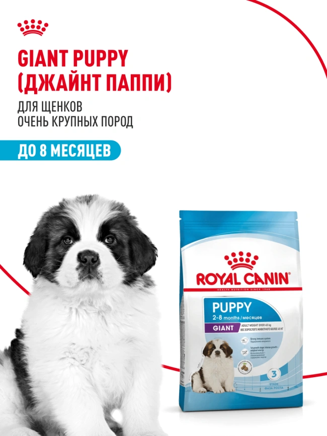Сухой корм Royal Canin Giant Puppy для щенков, 3.5 кг фото 12