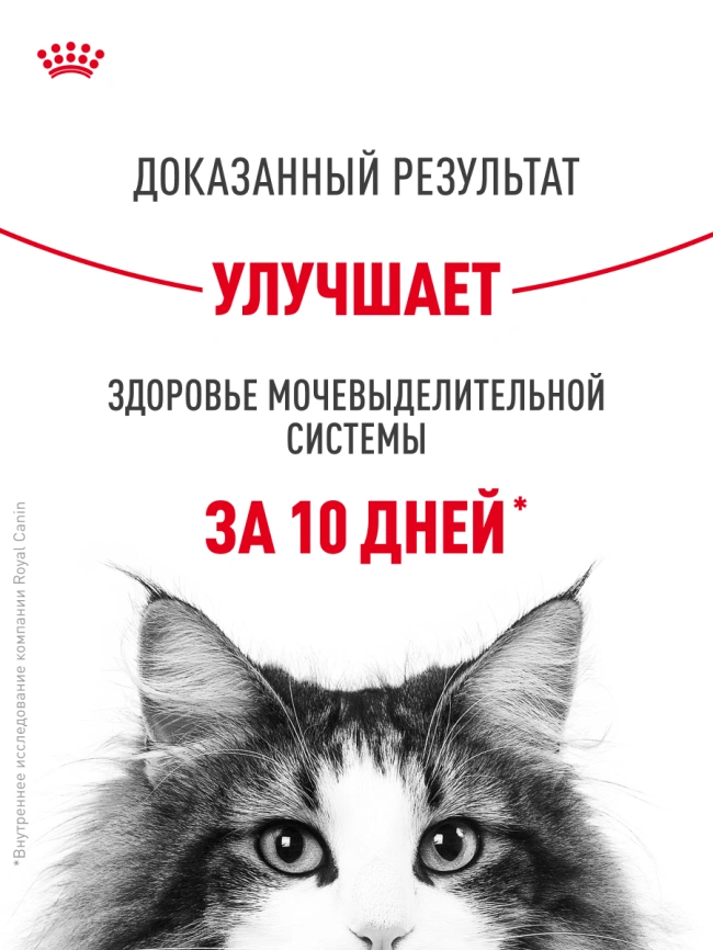 Сухой корм Royal Canin Urinary Care для кошек для профилактика МКБ, 400 г фото 17