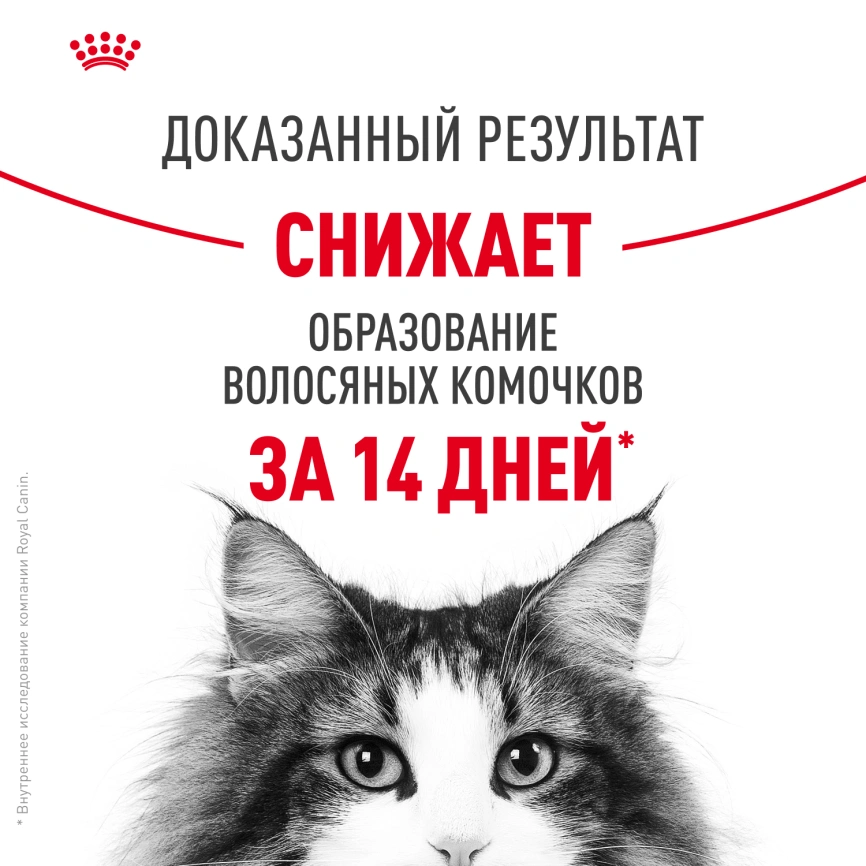Влажный корм Royal Canin Hairball Care в соусе для взрослых кошек, для выведения волосяных комочков, пауч, 85 г фото 2