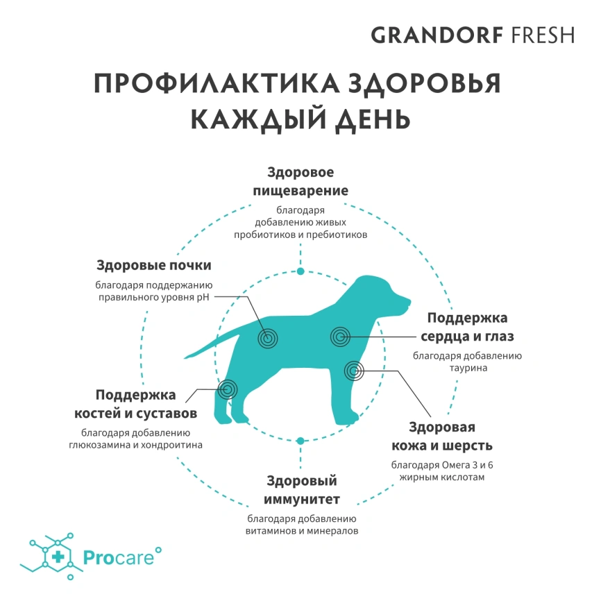 Сухой корм Grandorf Fresh Dog для юниоров средних и крупных пород беременных и кормящих собак беззерновой ягненок с бататом 1 кг фото 4
