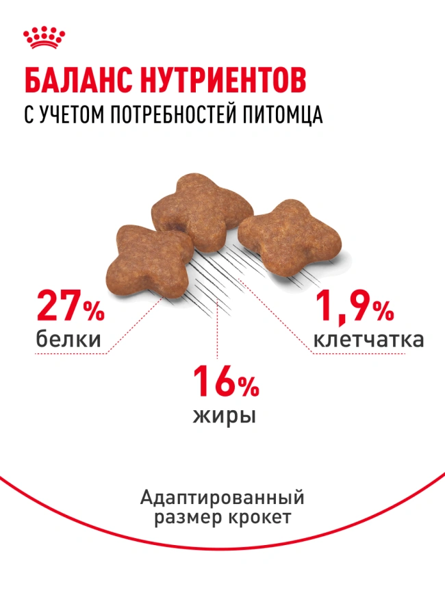 Сухой корм Royal Canin Mini Adult для взрослых собак, 4 кг фото 18