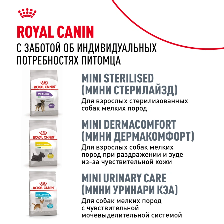 Сухой корм Royal Canin Miniature Schnauzer Adult для собак породы миниатюрный шнауцер, 3 кг фото 10