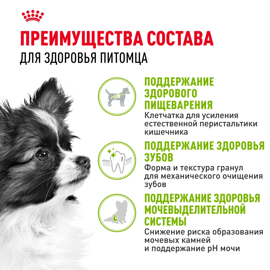 Сухой корм Royal Canin X-Small Adult для собак, 1.5 кг фото 3