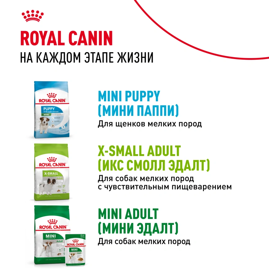 Сухой корм Royal Canin X-Small Puppy для щенков, 3 кг фото 13