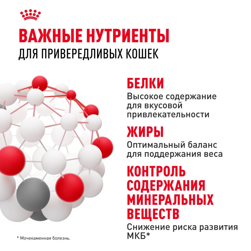 Сухой корм Royal Canin Protein Exigent для кошек, фото 4
