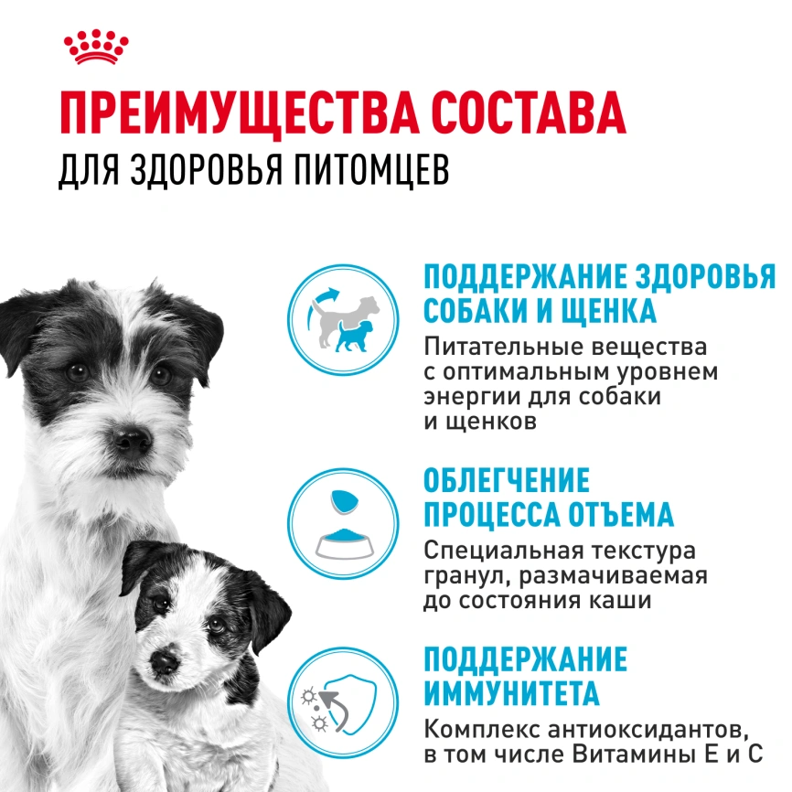 Сухой корм Royal Canin Mini Starter Mother & Babydog для щенков и кормящих сук, 8.5 кг фото 3