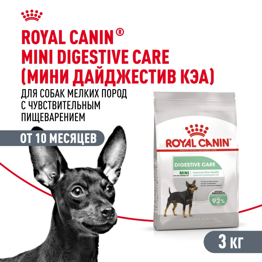 Сухой корм Royal Canin Mini Digestive Care для собак, 3 кг фото 1