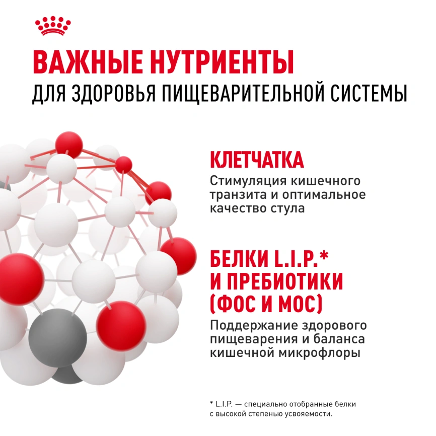 Сухой корм Royal Canin Maxi Digestive Care для собак, 3 кг фото 5