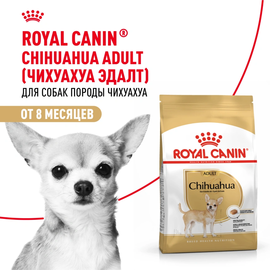 Сухой корм Royal Canin Chihuahua Adult для собак породы чихуахуа, 1,5 кг фото 15