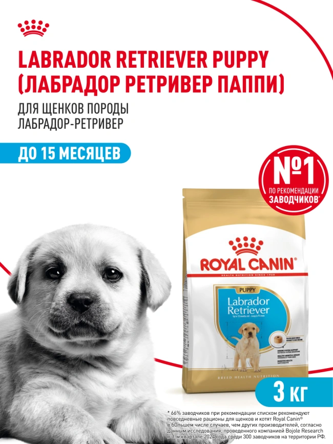 Сухой корм Royal Canin Labrador Retriever Puppy для щенков, 3 кг фото 12