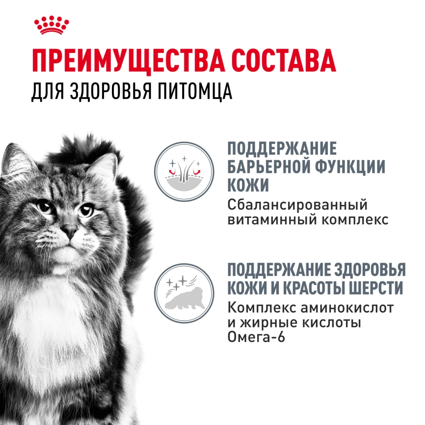 Влажный корм Royal Canin Hair &amp; Skin Care в соусе для взрослых кошек старше 1 года, пауч, 85 г фото 3