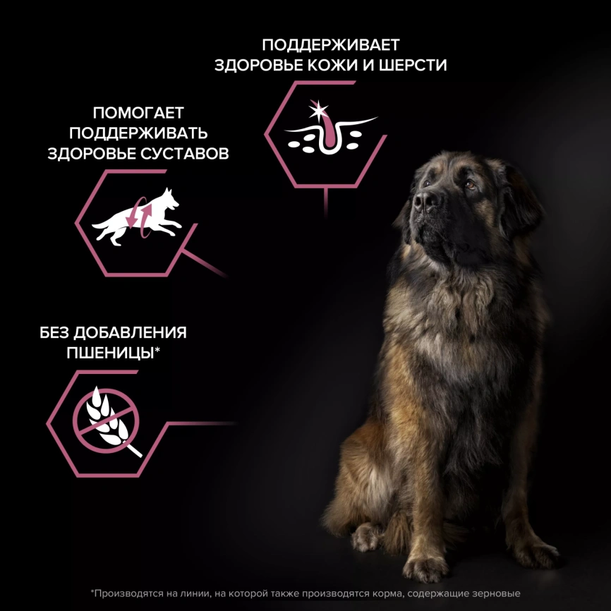 Сухой корм PRO PLAN Salmon для взрослых собак крупных пород с мощным телосложением с чувствительной кожей, с высоким содержанием лосося, 14 кг фото 3