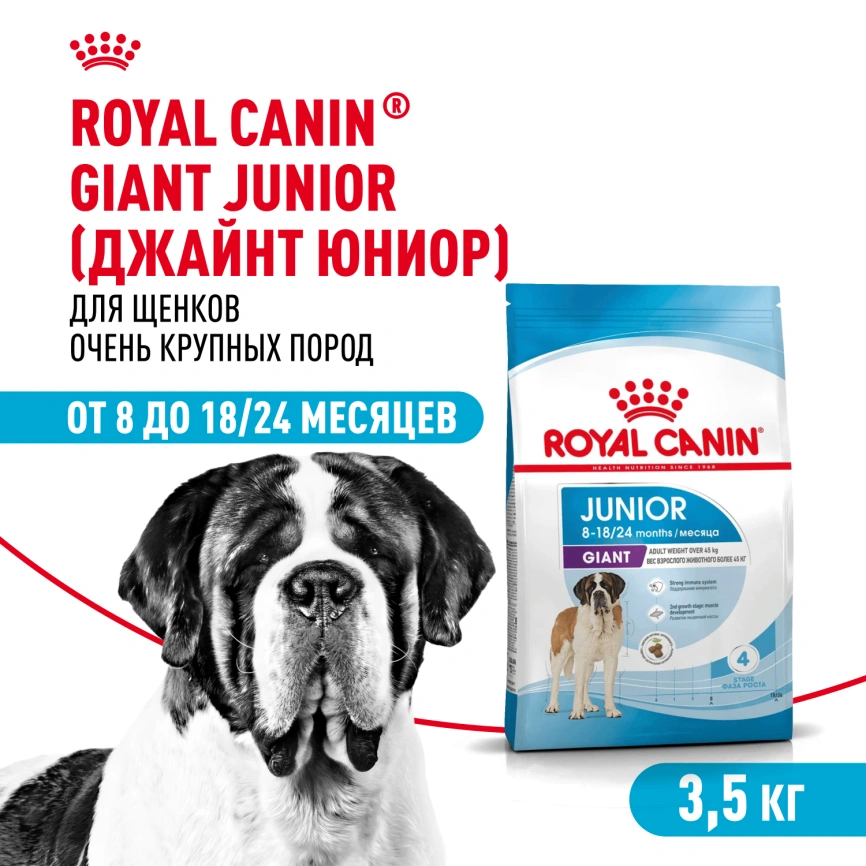 Сухой корм Royal Canin Giant Junior для щенков, 3.5 кг фото 1