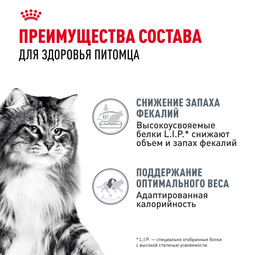 Влажный корм Royal Canin Digest Sensitive в соусе для улучшения пищеварения у взрослых кошек старше 1 года, пауч, 85 г фото 3