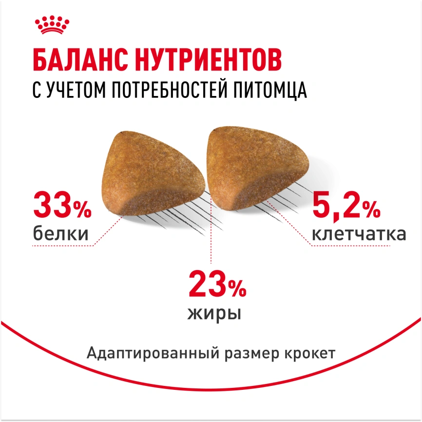 Сухой корм Royal Canin Sphynx для кошек породы сфинкс, 400 г фото 4