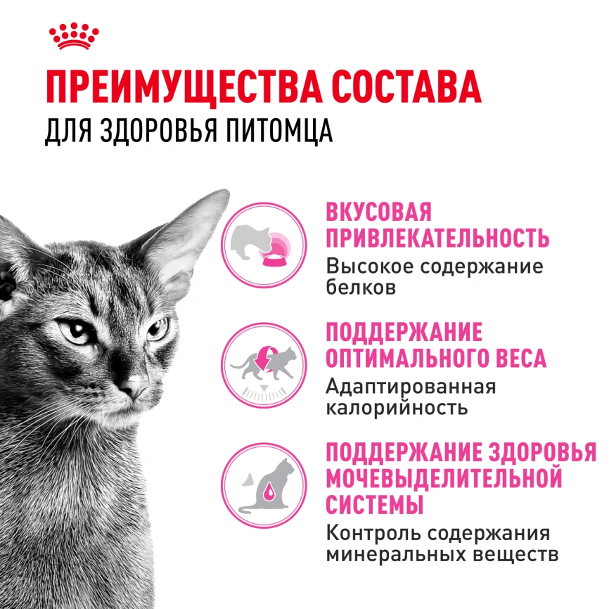 Сухой корм Royal Canin Protein Exigent для кошек, 400 г фото 3