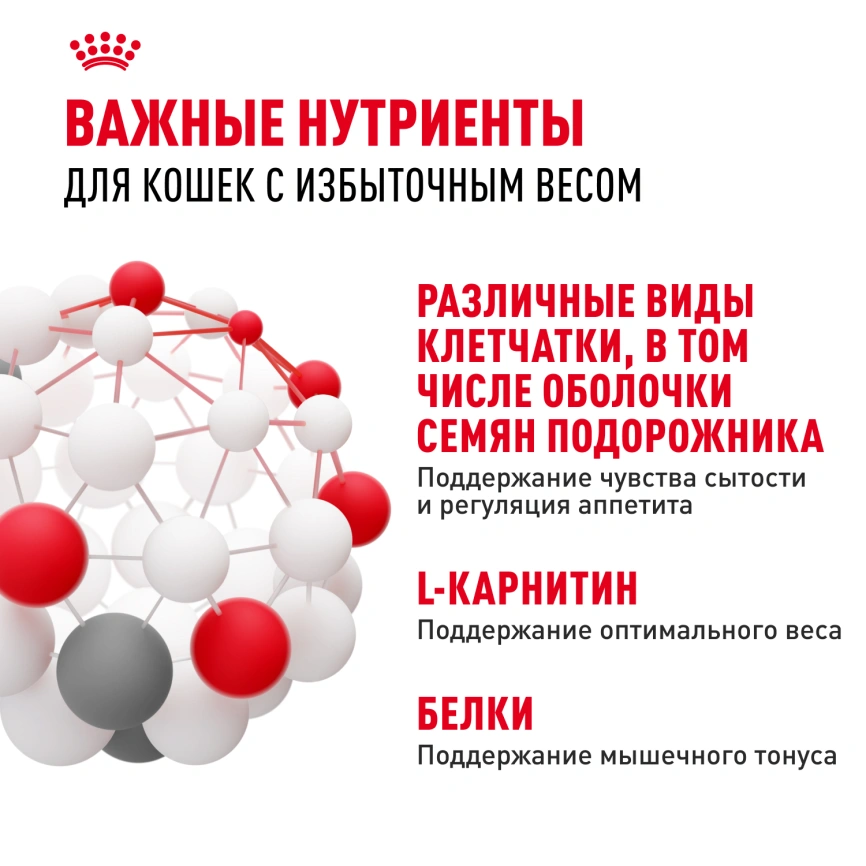 Сухой корм Royal Canin Light Weight Care для кошек, 400 г фото 5